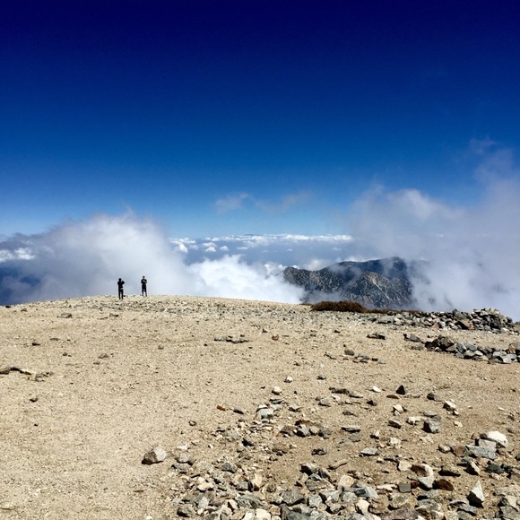 Meet your Posher, Jane - Picture 6 of 6